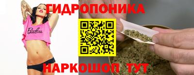 apvp Бийск
