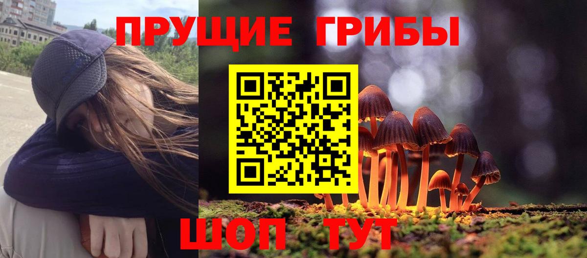 Десногорск  Псилоцибиновые грибы Magic Shrooms  Вход с VPN 